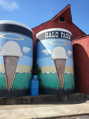 Halo Farm