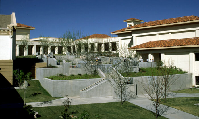 online faculties denver