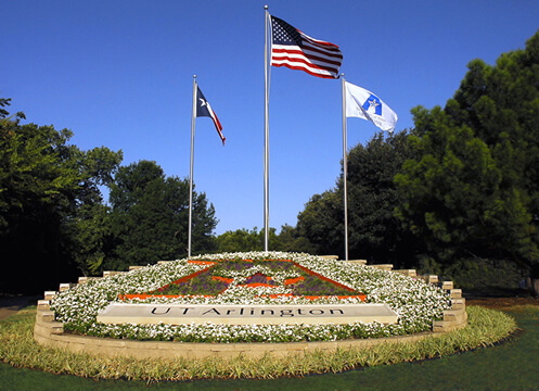 Texas University Nursing Programs