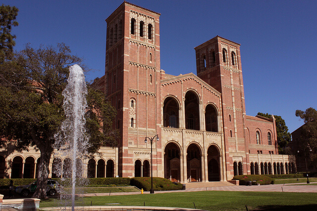 Ucla Nursing Program Reviews