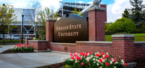 oregon state university online bachelors degree programs