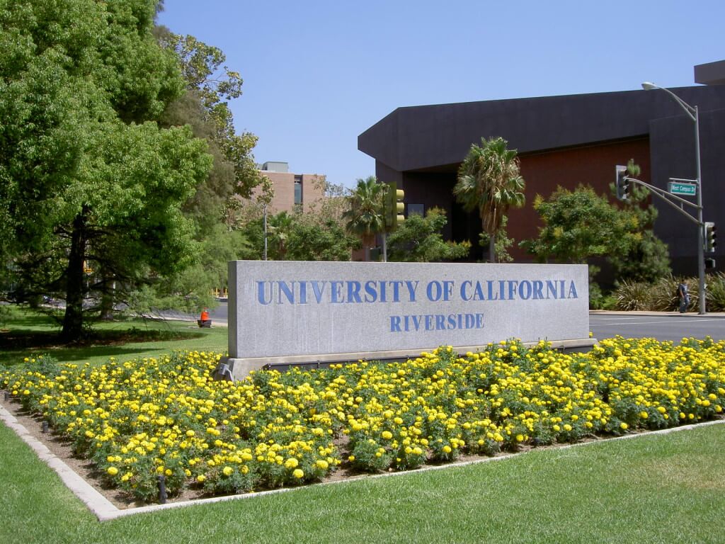 Image result for University of California USA