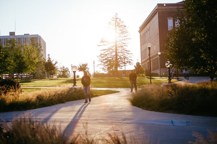 wayne-state-college-easiest-schools-to-transfer-to-great-value-colleges