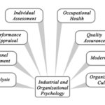 6 Most Affordable Organizational Psychology Doctoral Degrees Online