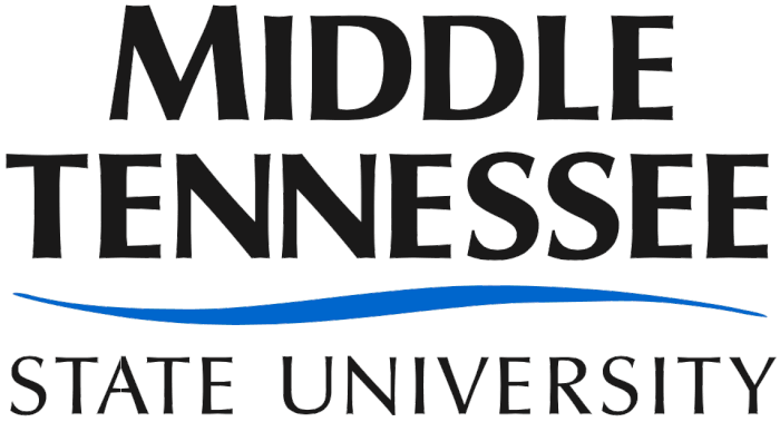 best online mba programs mtsu