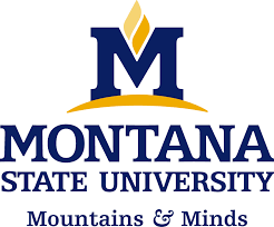 Montana State University