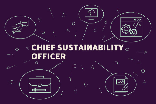 high paying environmental jobs