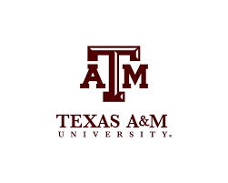
Top 50 Great Value Public Administration Master’s Online + Texas A&M University


