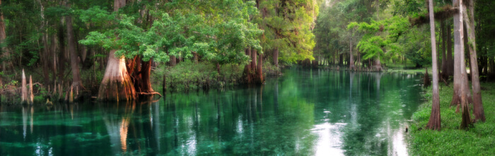 community colleges in florida