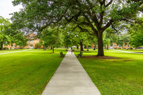 15 Most Beautiful College Campuses in the U.S.